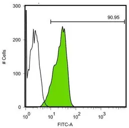 Anti-Oct4 antibody [GT735] used in Flow cytometry (FCM). GTX627423