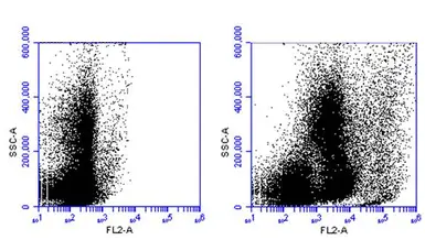 Anti-CD11b antibody [GT0001] used in Flow cytometry (FCM). GTX628077