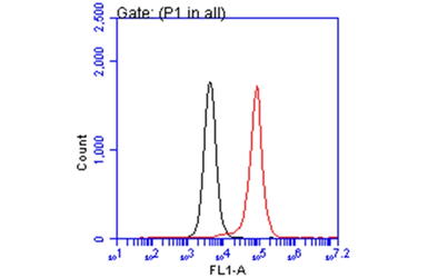 Anti-PEX19 antibody [GT554] used in Flow cytometry (FCM). GTX628212
