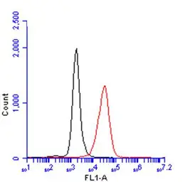 Anti-CD45 antibody [GT0005] used in Flow cytometry (FCM). GTX628417