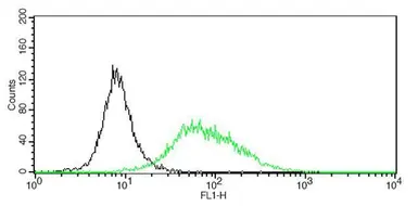 Anti-CD20 antibody [GT0008] used in Flow cytometry (FCM). GTX628420