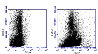 Anti-CD45RA antibody [GT0014] used in Flow cytometry (FCM). GTX628507