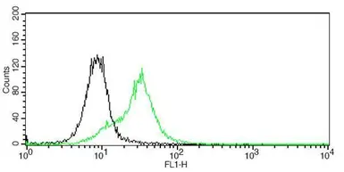 Anti-CD45RA antibody [GT0014] used in Flow cytometry (FCM). GTX628507