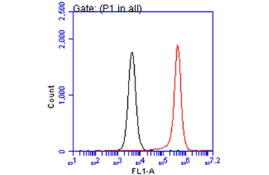 Anti-PEX19 antibody [GT533] used in Flow cytometry (FCM). GTX628892