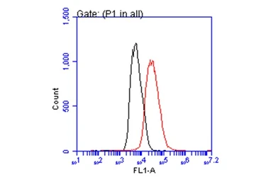 Anti-p21 Cip1 antibody [GT8611] used in Flow cytometry (FCM). GTX629627
