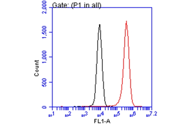 Anti-E-Cadherin antibody [GT311] used in Flow cytometry (FCM). GTX629692