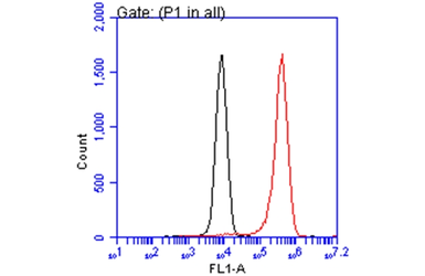 Anti-E-Cadherin antibody [GT358] used in Flow cytometry (FCM). GTX629694