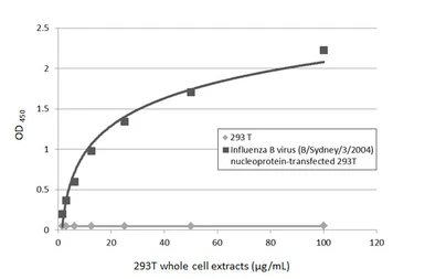Anti-Influenza B virus Nucleoprotein antibody [GT371] used in ELISA (ELISA). GTX629882