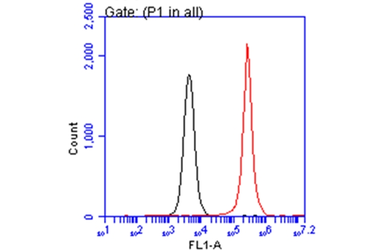 Anti-ARID5A antibody [GT1683] used in Flow cytometry (FCM). GTX631939