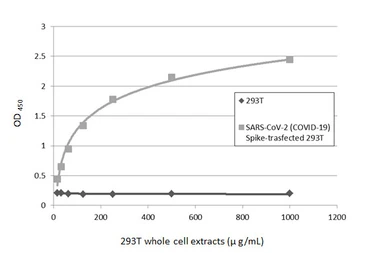 Anti-SARS-CoV / SARS-CoV-2 (COVID-19) spike antibody [1A9] used in ELISA (ELISA). GTX632604