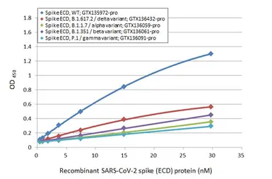 Anti-SARS-CoV / SARS-CoV-2 (COVID-19) spike antibody [1A9] used in ELISA (ELISA). GTX632604