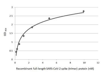 Anti-SARS-CoV / SARS-CoV-2 (COVID-19) spike antibody [1A9] used in ELISA (ELISA). GTX632604