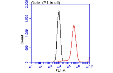 Anti-ATP6V1A antibody [GT811] used in Flow cytometry (FCM). GTX633543
