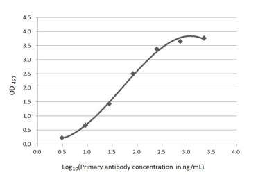 Anti-Beta amyloid (1-42) antibody – Conformation Specific antibody [GT622] used in ELISA (ELISA). GTX635160