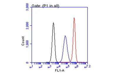 Anti-CA19-9 antibody [GT252] used in Flow cytometry (FCM). GTX635390