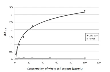 Anti-CA19-9 antibody [GT252] used in ELISA (ELISA). GTX635390