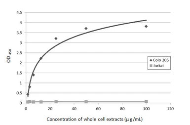 Anti-CA19-9 antibody [GT8510] used in ELISA (ELISA). GTX635391