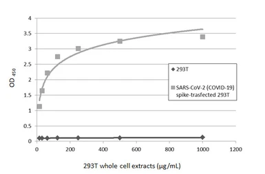 Anti-SARS-CoV-2 (COVID-19) Spike S1 antibody [HL6] used in ELISA (ELISA). GTX635654
