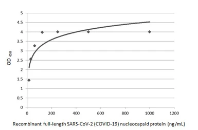 Anti-SARS-CoV-2 (COVID-19) Nucleocapsid antibody [HL344] used in ELISA (ELISA). GTX635679