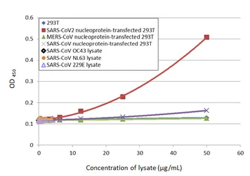 Anti-SARS-CoV-2 (COVID-19) Nucleocapsid antibody [HL5410] used in ELISA (ELISA). GTX635685