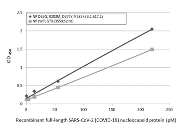 Anti-SARS-CoV-2 (COVID-19) Nucleocapsid antibody [HL455] used in ELISA (ELISA). GTX635688