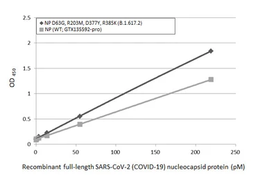 Anti-SARS-CoV-2 (COVID-19) Nucleocapsid antibody [HL5511] used in ELISA (ELISA). GTX635689