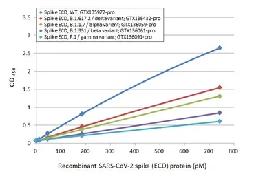 Anti-SARS-CoV-2 (COVID-19) Spike RBD antibody [HL1002] (HRP) used in ELISA (ELISA). GTX635791-01