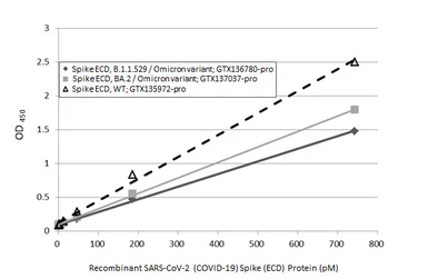 Anti-SARS-CoV-2 (COVID-19) Spike RBD antibody [HL1003] (HRP) used in ELISA (ELISA). GTX635792-01