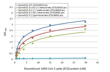 Anti-SARS-CoV-2 (COVID-19) Spike RBD antibody [HL1003] used in ELISA (ELISA). GTX635792