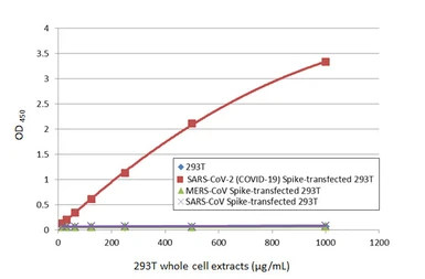 Anti-SARS-CoV-2 (COVID-19) Spike RBD antibody [HL1004] used in ELISA (ELISA). GTX635793
