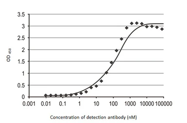 Anti-SARS-CoV-2 (COVID-19) Nucleocapsid antibody [GT113] used in ELISA (ELISA). GTX635808