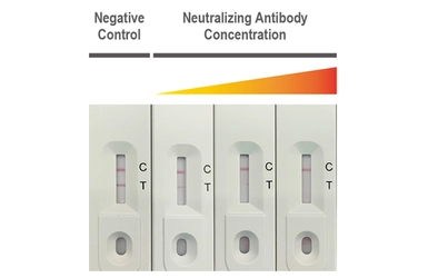 Anti-ACE2 antibody [GT19410] used in Lateral Flow (Lateral Flow). GTX635897