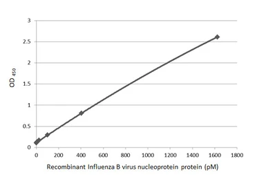 Anti-Influenza B virus Nucleoprotein antibody [HL1069] used in ELISA (ELISA). GTX636100