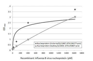 Anti-Influenza B virus Nucleoprotein antibody [HL1069] used in ELISA (ELISA). GTX636100