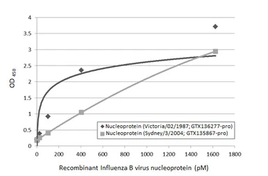 Anti-Influenza B virus Nucleoprotein antibody [HL1069] used in ELISA (ELISA). GTX636100