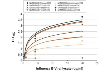 Anti-Influenza B virus Nucleoprotein antibody [HL1069] used in ELISA (ELISA). GTX636100
