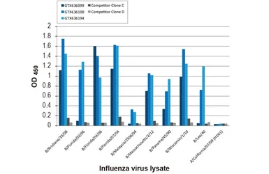 Anti-Influenza B virus Nucleoprotein antibody [HL1073] used in ELISA (ELISA). GTX636194