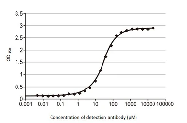 Anti-Influenza B virus Nucleoprotein antibody [HL1073] used in ELISA (ELISA). GTX636194