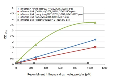 Anti-Influenza A virus Nucleoprotein antibody [HL1078] used in ELISA (ELISA). GTX636199