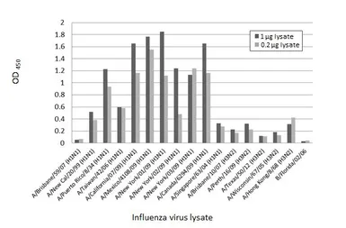 Anti-Influenza A virus Nucleoprotein antibody [HL1078] used in ELISA (ELISA). GTX636199
