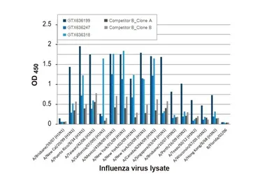Anti-Influenza A virus Nucleoprotein antibody [HL1078] used in ELISA (ELISA). GTX636199