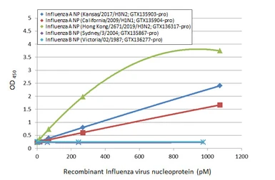 Anti-Influenza A virus Nucleoprotein antibody [HL1089] used in ELISA (ELISA). GTX636247