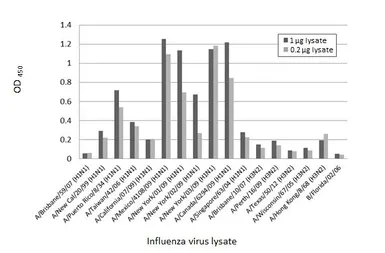 Anti-Influenza A virus Nucleoprotein antibody [HL1089] used in ELISA (ELISA). GTX636247
