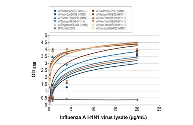 Anti-Influenza A virus Nucleoprotein antibody [HL1103] used in ELISA (ELISA). GTX636318