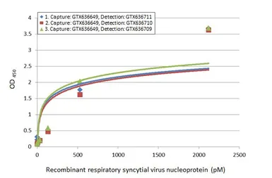 Anti-Respiratory Syncytial virus Nucleoprotein antibody [HL1296] used in ELISA (ELISA). GTX636710