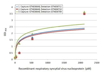Anti-Respiratory Syncytial virus Nucleoprotein antibody [HL1296] used in ELISA (ELISA). GTX636710