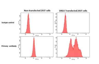 Anti-Dopamine Receptor D2 antibody [HL1478] used in Flow cytometry (FCM). GTX636952
