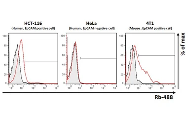 Anti-EpCAM antibody [HL1524] used in Flow cytometry (FCM). GTX636998
