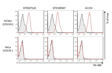 Anti-CD133 antibody [HL1631] used in Flow cytometry (FCM). GTX637124