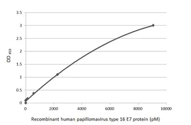 Anti-Human Papillomavirus type 16 E7 antibody [HL1647] used in ELISA (ELISA). GTX637228